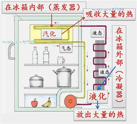 冰箱運作原理|冰箱（保持恒定低温的一种制冷设备）